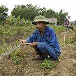 Permalink to Vietnam: plantacion de plantas aromaticas Xuan-Hao-9