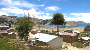 Plantations de romarin aux abords du lac Titicaca (Copacabana)
