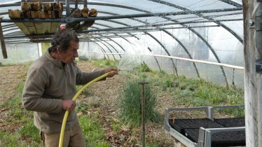 Serge arrosant ses plantes aromatiques